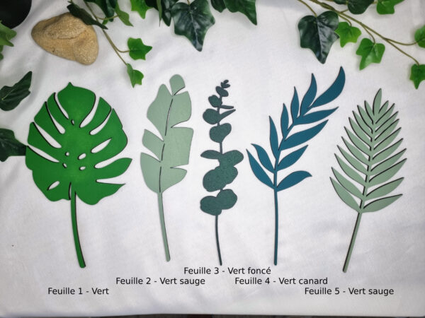 Feuilles tropicales modèles et couleurs